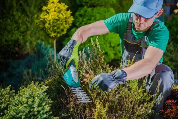 landscaping services Pierce City